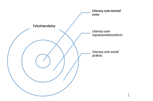 Den flerfokale literacy-model